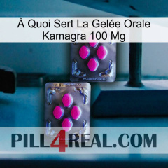 À Quoi Sert La Gelée Orale Kamagra 100 Mg 01